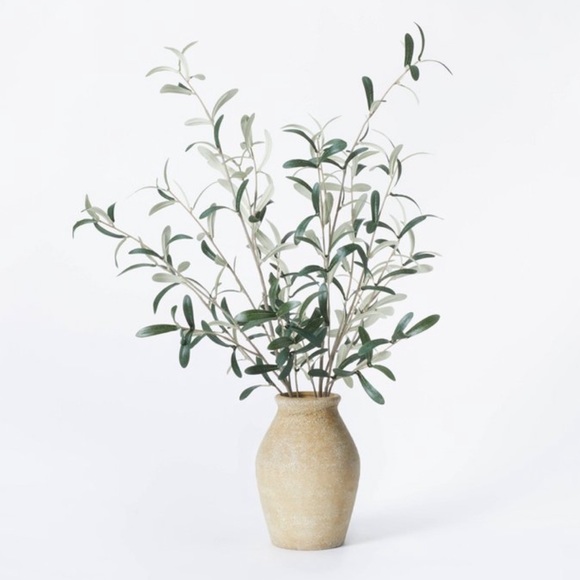 Threshold Other - *NEW* Olive Potted Arrangement - Threshold designed with Studio McGee